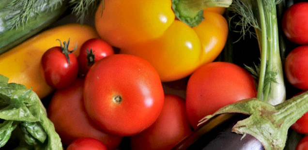 Jeg taler vegansk
